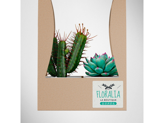 Papier Vélin Recyclé