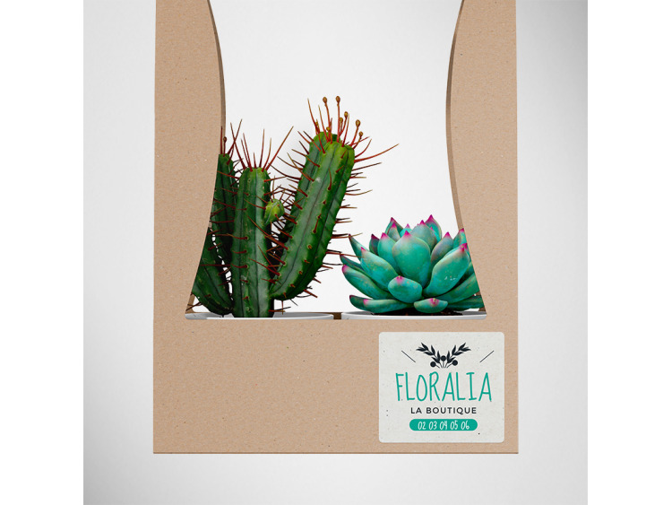 Papier Vélin Recyclé