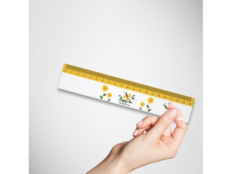 Règles publicitaires transparentes 20 cm
